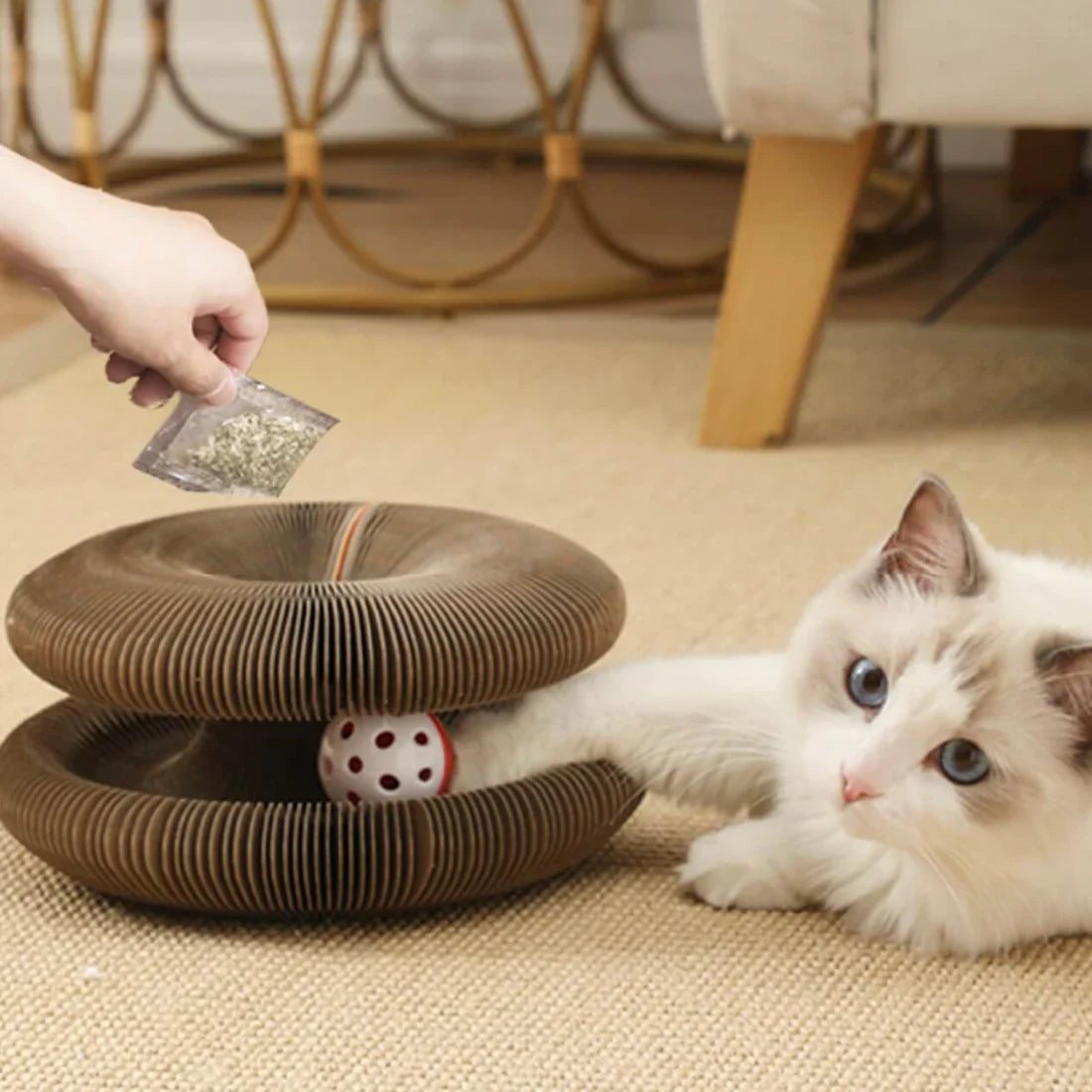 Furora Expandable Cat Scratcher Toy with Interactive Ball Track & Cozy Bed