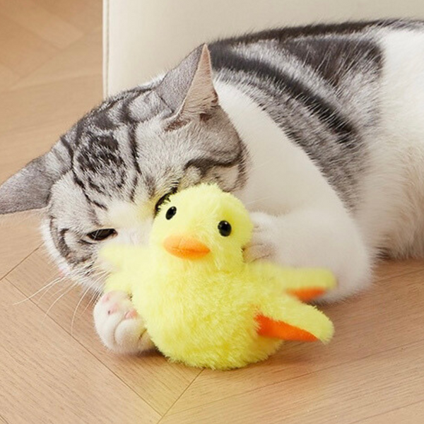 Pawellure Interactive Flapping Duck Cat Toy - Rechargeable Squeaky Plush for Feline Fun and Stimulation