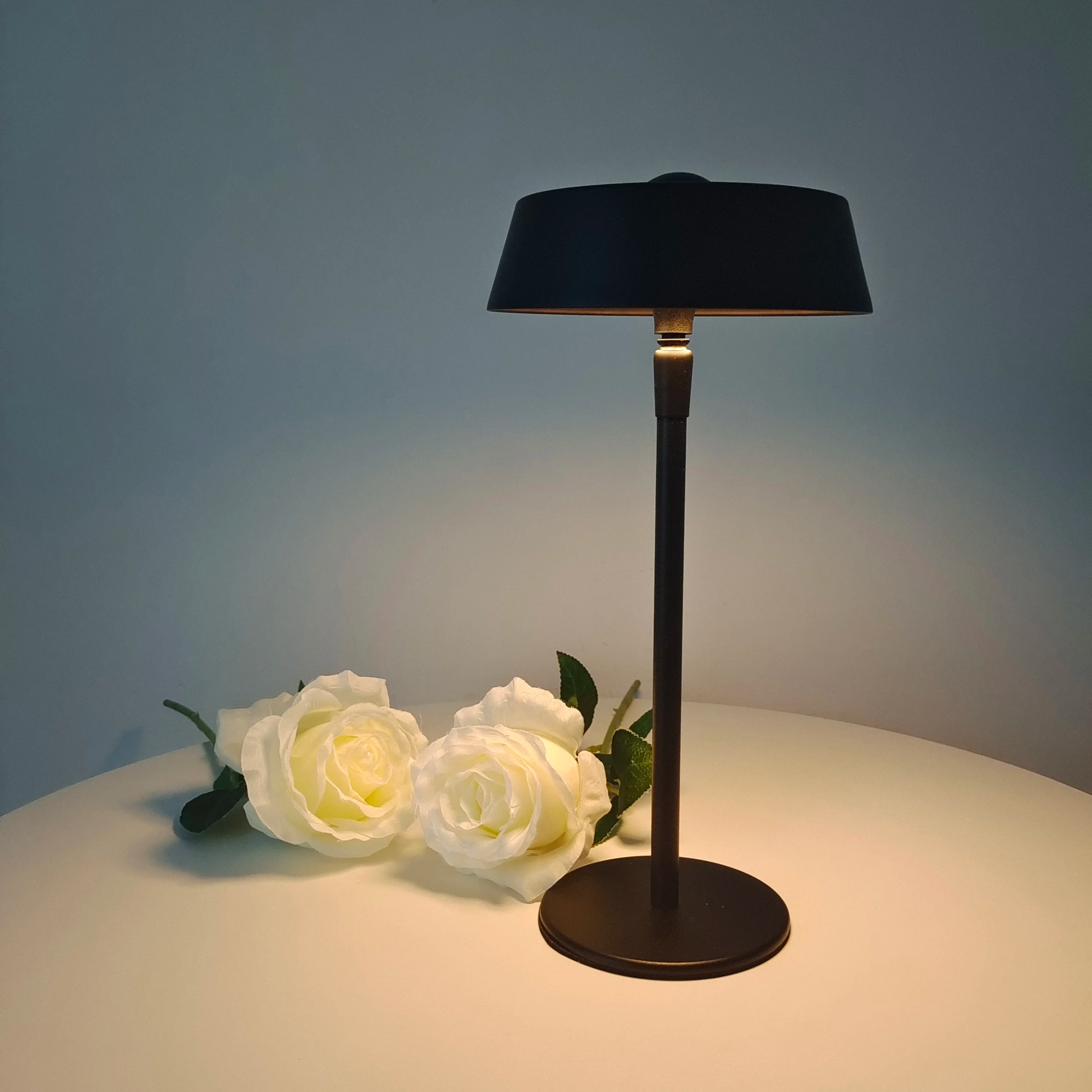 Portable LED table lamp with a touch sensor, designed for modern bedroom and study lighting.