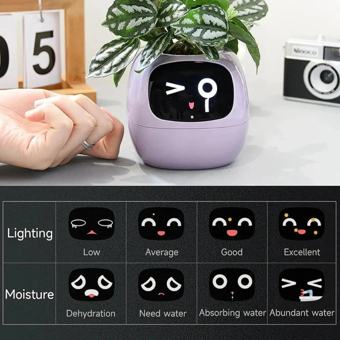 Smart Plant Pot with AI Sensors – Interactive Planter for Easy Plant Care - Purple