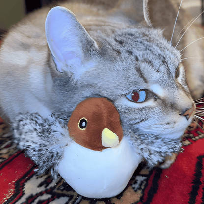 Pawellure Interactive Chirping Bird Cat Toy - USB Rechargeable with Nylatails Silvervine for Engaging Play and Natural Hunting Instincts