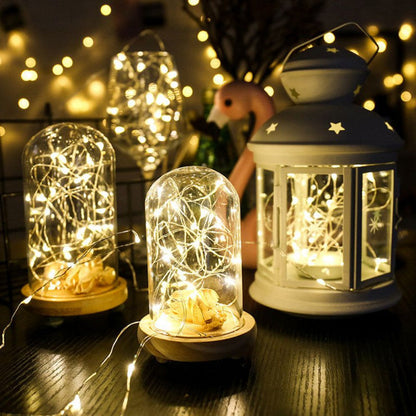 Royelux Solar String Fairy Lights - Waterproof Outdoor LED