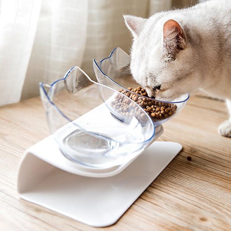 Royallure Elevated Anti-Vomiting Cat Bowl with Non-Slip Design