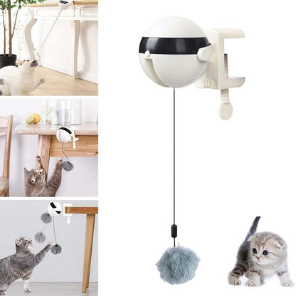 Royallure Interactive Automatic Cat Toy Ball for Fun and Exercise