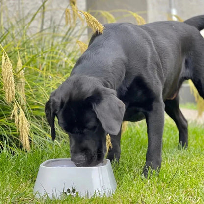 Pawellure No-Mess Slow-Drink Pet Water Bowl with Anti-Spill Design - Keeps Pets Dry & Floors Clean