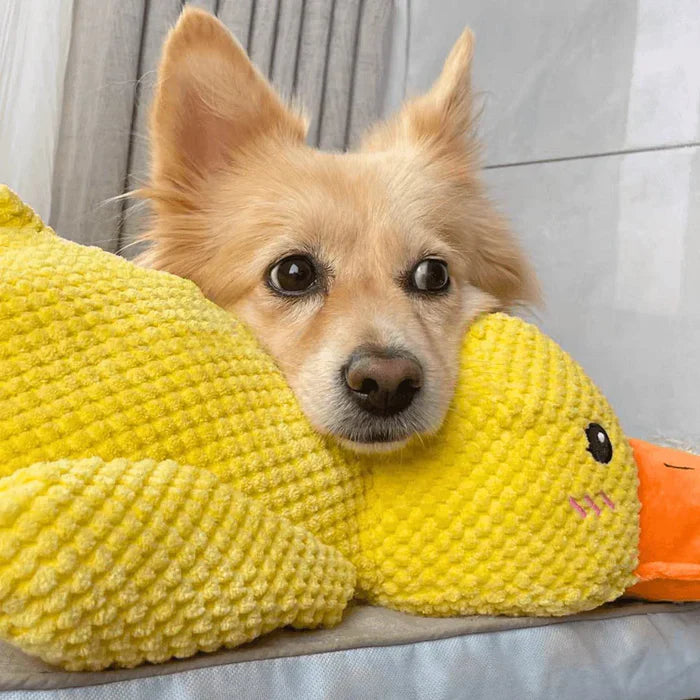 Furora Quack-Quack Calming Duck Dog Toy - Durable, Interactive Plush for All Breeds