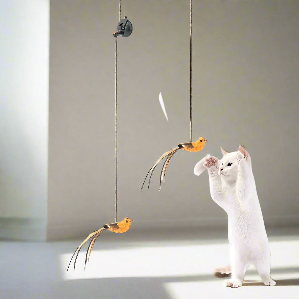 Interactive Hanging Cat Toy – Bungee for Exercise & Mental Stimulation