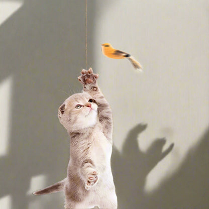 Interactive Hanging Cat Toy – Bungee for Exercise & Mental Stimulation