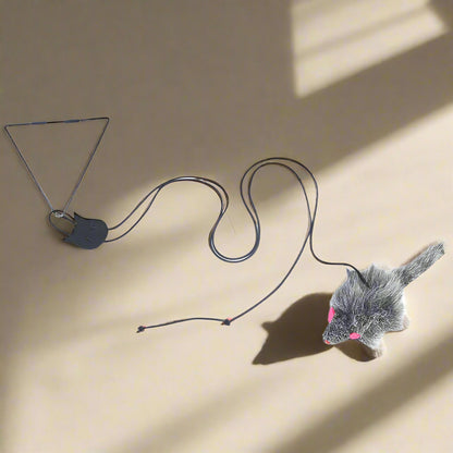 Interactive Hanging Cat Toy – Bungee for Exercise & Mental Stimulation