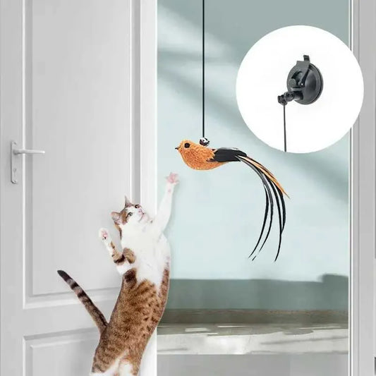 Interactive Hanging Cat Toy – Bungee for Exercise & Mental Stimulation