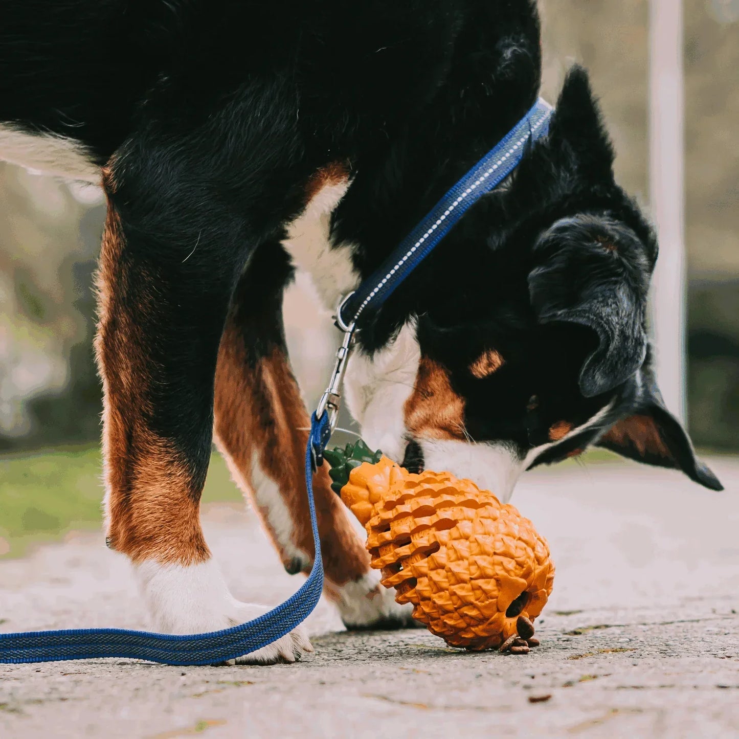 Pawellure Indestructible Pineapple Dog Chew Toy with Treat Dispenser for Aggressive Chewers