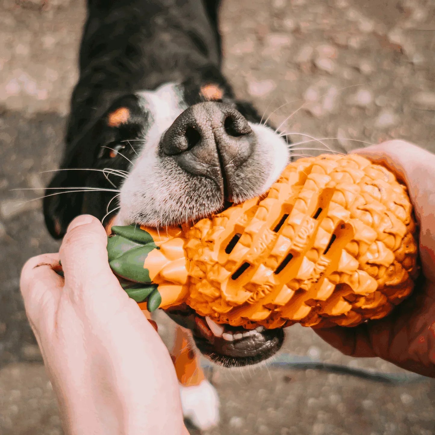 Pawellure Indestructible Pineapple Dog Chew Toy with Treat Dispenser for Aggressive Chewers