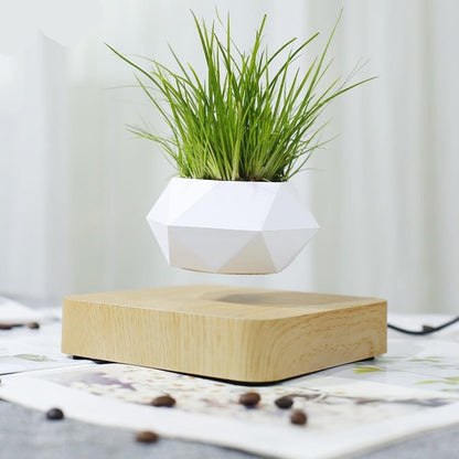 Royallure Magnetic Levitation Air Plant Pot - Floating Geodesic Planter with Rotating Design and Hidden Reservoir