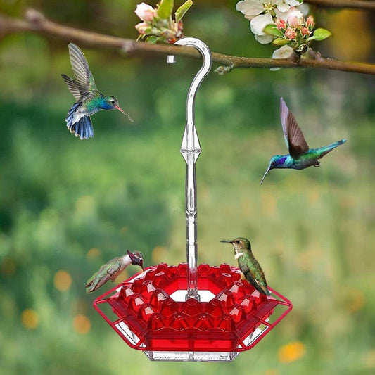 Royaleva Premium Hummingbird Feeder with Ant Moat & Perch - 30 Feeding Ports, Easy Fill Design, UV Resistant Material