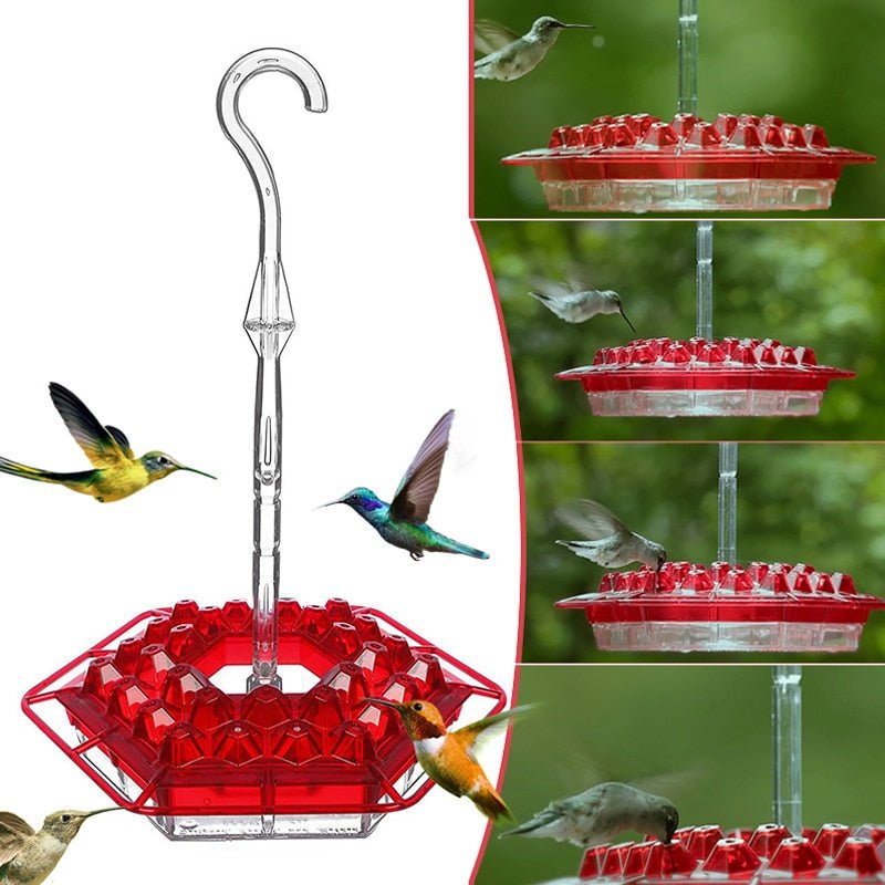 Royaleva Premium Hummingbird Feeder with Ant Moat & Perch - 30 Feeding Ports, Easy Fill Design, UV Resistant Material