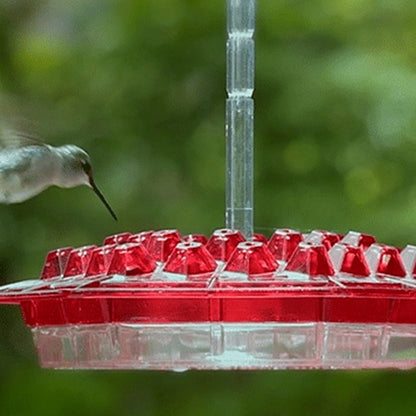 Royaleva Premium Hummingbird Feeder with Ant Moat & Perch - 30 Feeding Ports, Easy Fill Design, UV Resistant Material