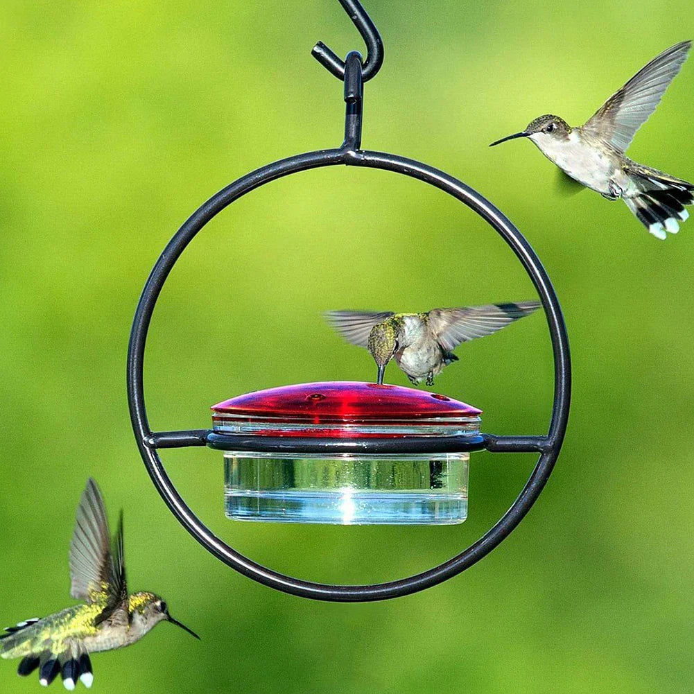 Royallure Hummingbird Feeder - Elegant, Bee-Proof and Easy to Clean Nectar Haven for Your Garden