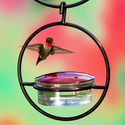 Royallure Hummingbird Feeder - Elegant, Bee-Proof and Easy to Clean Nectar Haven for Your Garden