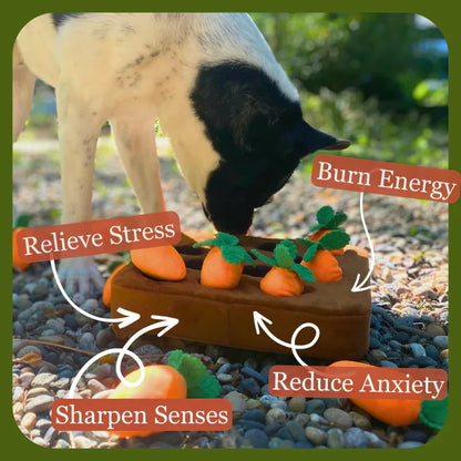 Furora Interactive Carrot Garden Dog Puzzle Toy - Durable & Engaging Treat Hiding Fun for All Breeds