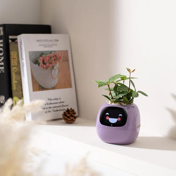 Smart Plant Pot with AI Sensors – Interactive Planter for Easy Plant Care