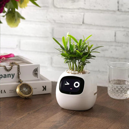 Smart Plant Pot with AI Sensors – Interactive Planter for Easy Plant Care