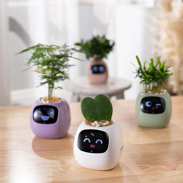 Smart Plant Pot with AI Sensors – Interactive Planter for Easy Plant Care