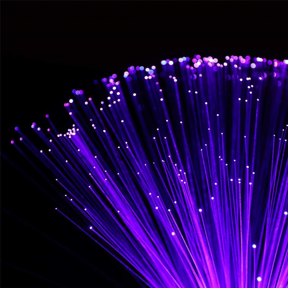 Royallure Color-Changing Fiber Optic LED Lamp - Multicolor Starlight Decoration for Home & Holidays