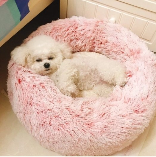 Royallure Cozy Calming Donut Bed for Pets - Anti-Anxiety Plush Support