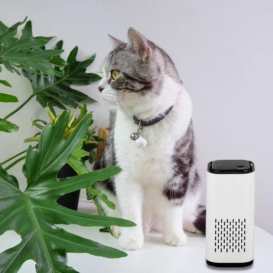 Pawelux Advanced Pet Air Purifier with HEPA Filter & Odor Control