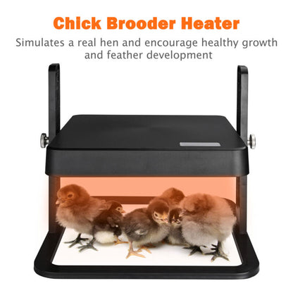 Pawelux Adjustable Chick Heating Plate - 10"x10" Brooder Heater for Poultry with Energy Saving Design and Safety Features