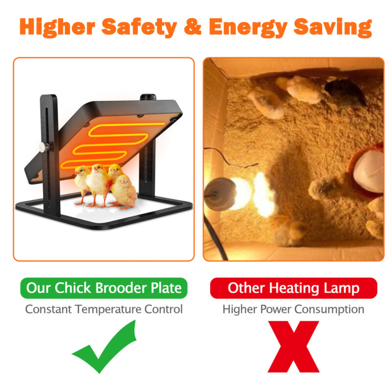 Pawelux Adjustable Chick Heating Plate - 10"x10" Brooder Heater for Poultry with Energy Saving Design and Safety Features