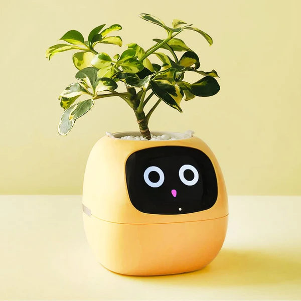 Smart Plant Pot with AI Sensors – Interactive Planter for Easy Plant Care